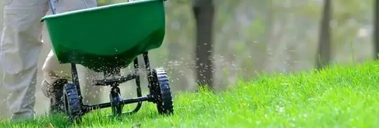 Fertilizing a healthy green lawn with a broadcast spreader